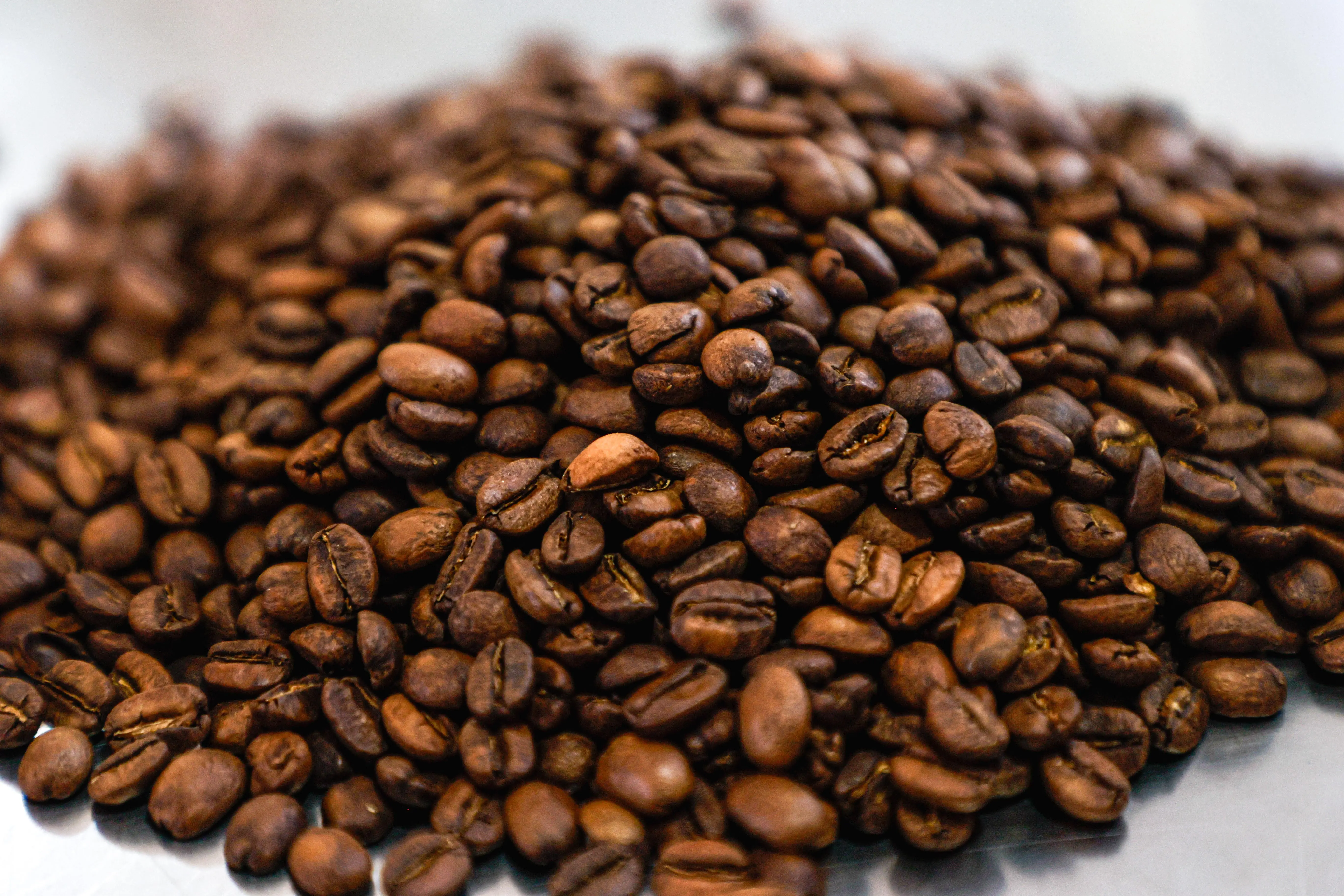 Selo de Denominação de Origem reconhece qualidade única do café de Mandaguari e valoriza produção regional.