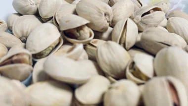 Brasil busca produzir pistache e testa cultivo na Serra da Ibiapaba, no Ceará.