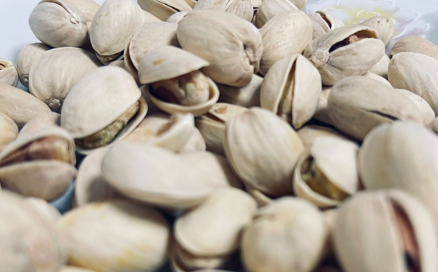 Brasil busca produzir pistache e testa cultivo na Serra da Ibiapaba, no Ceará.