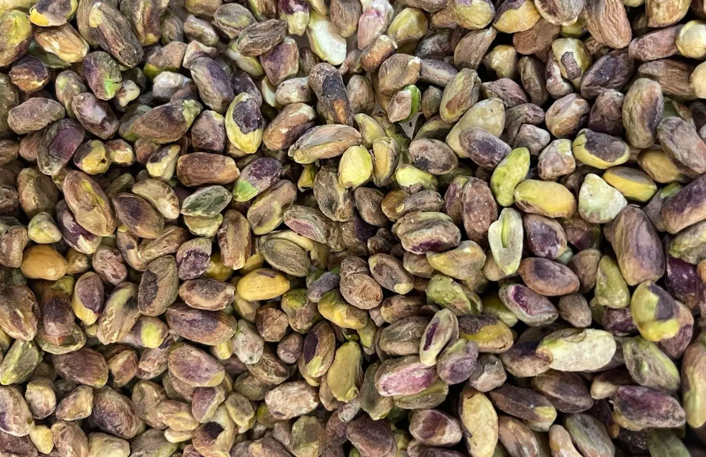 Clima impõe desafios ao cultivo de pistache e exige adaptação no Ceará.