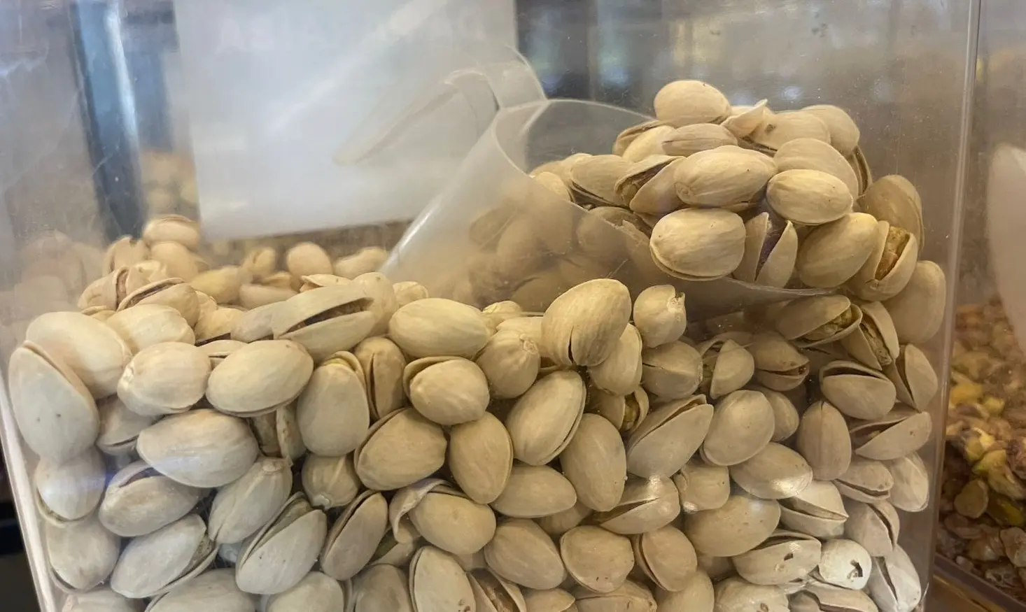 Controle rigoroso assegura qualidade do pistache e destaca benefícios nutricionais.