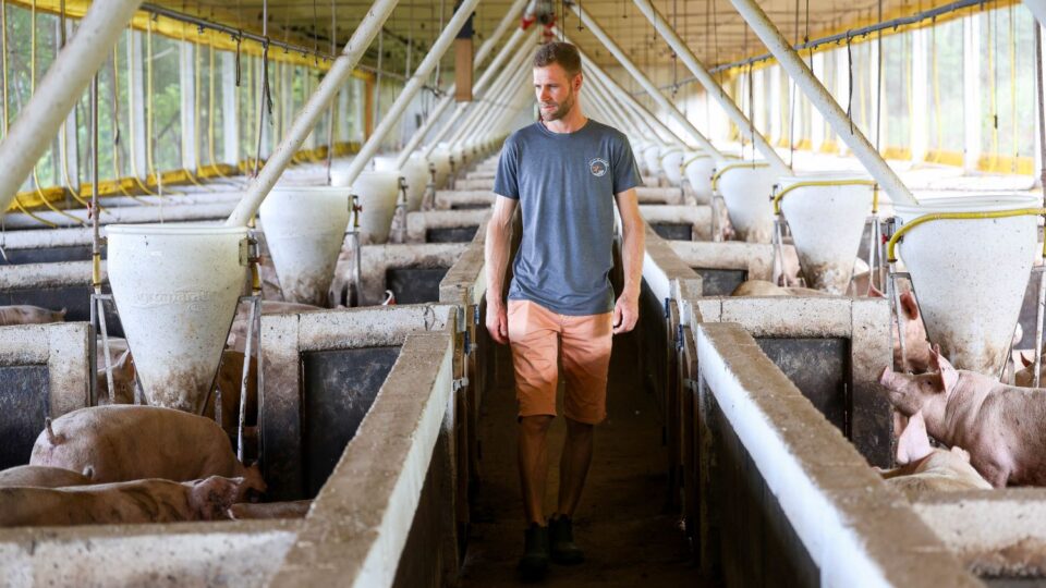 SC cresceu acima da média nacional na produção de alimentos