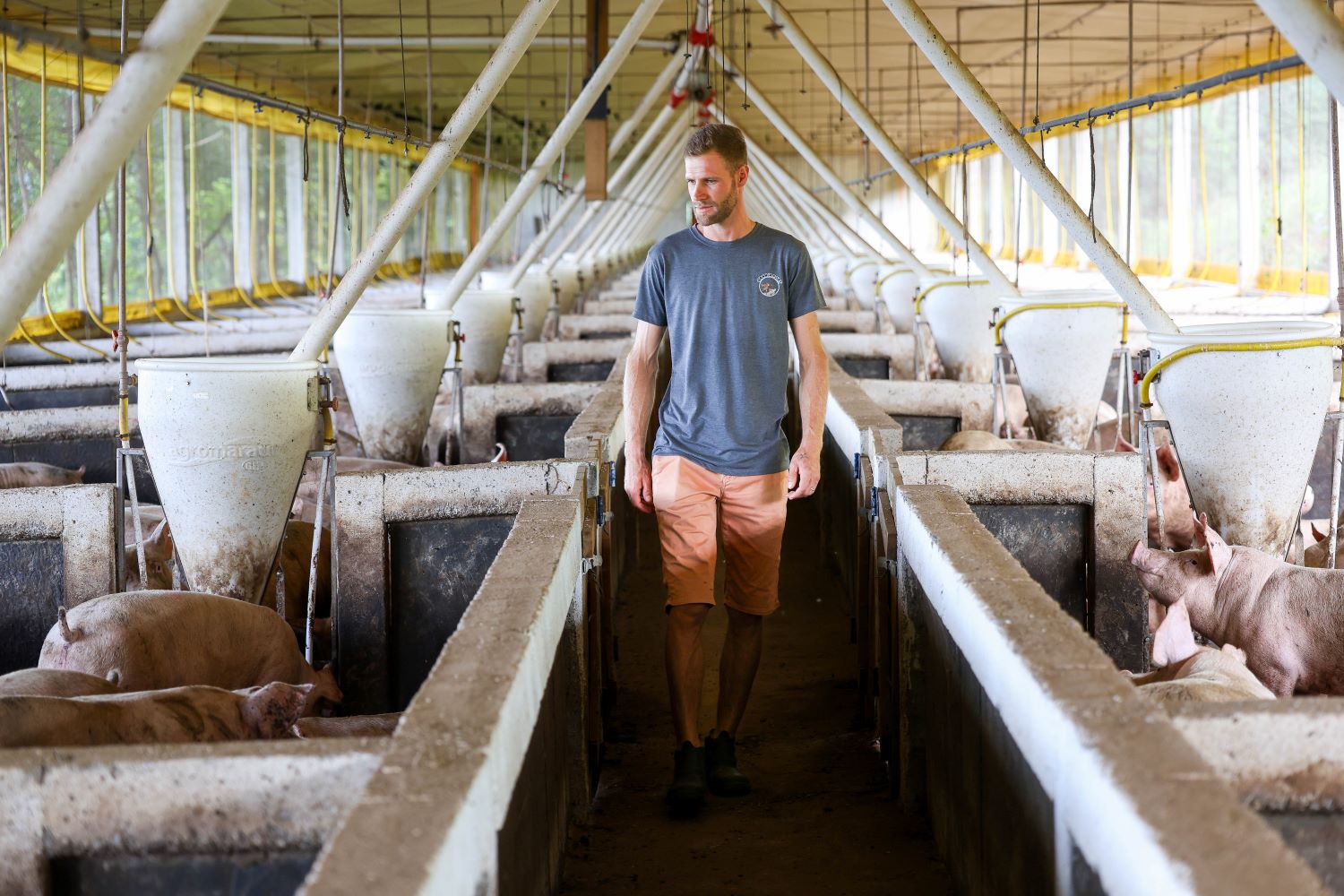 Santa Catarina exportou mais de 2 milhões de toneladas de carnes no último ano.
