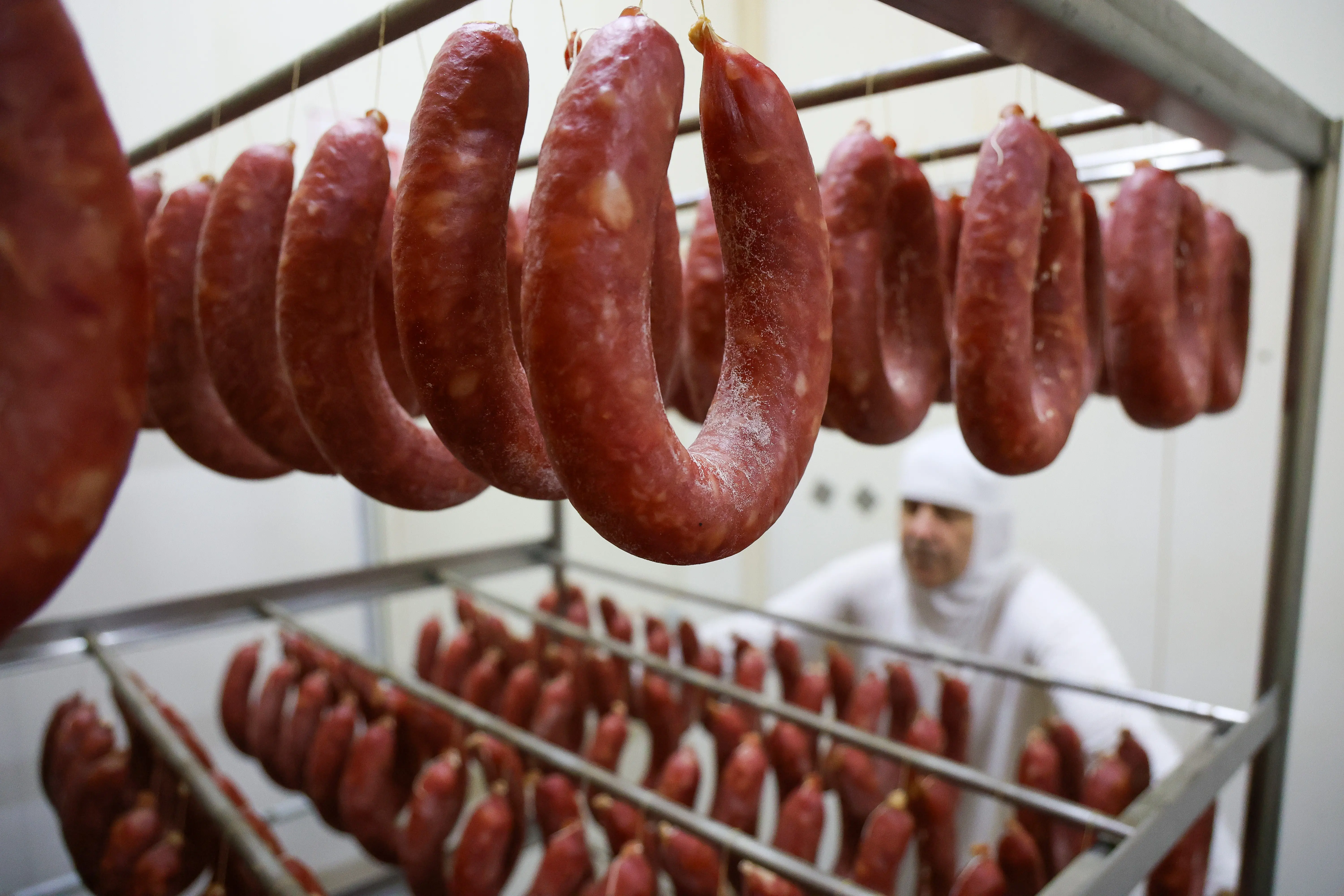 Em ambiente industrial, embutidos passam por etapa de cura e secagem, agregando valor à cadeia de proteínas animais que sustenta o avanço da indústria de alimentos em Santa Catarina.