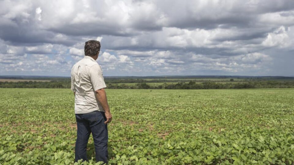 Por que o fim da escala 6×1 pode encarecer os alimentos no Brasil?
