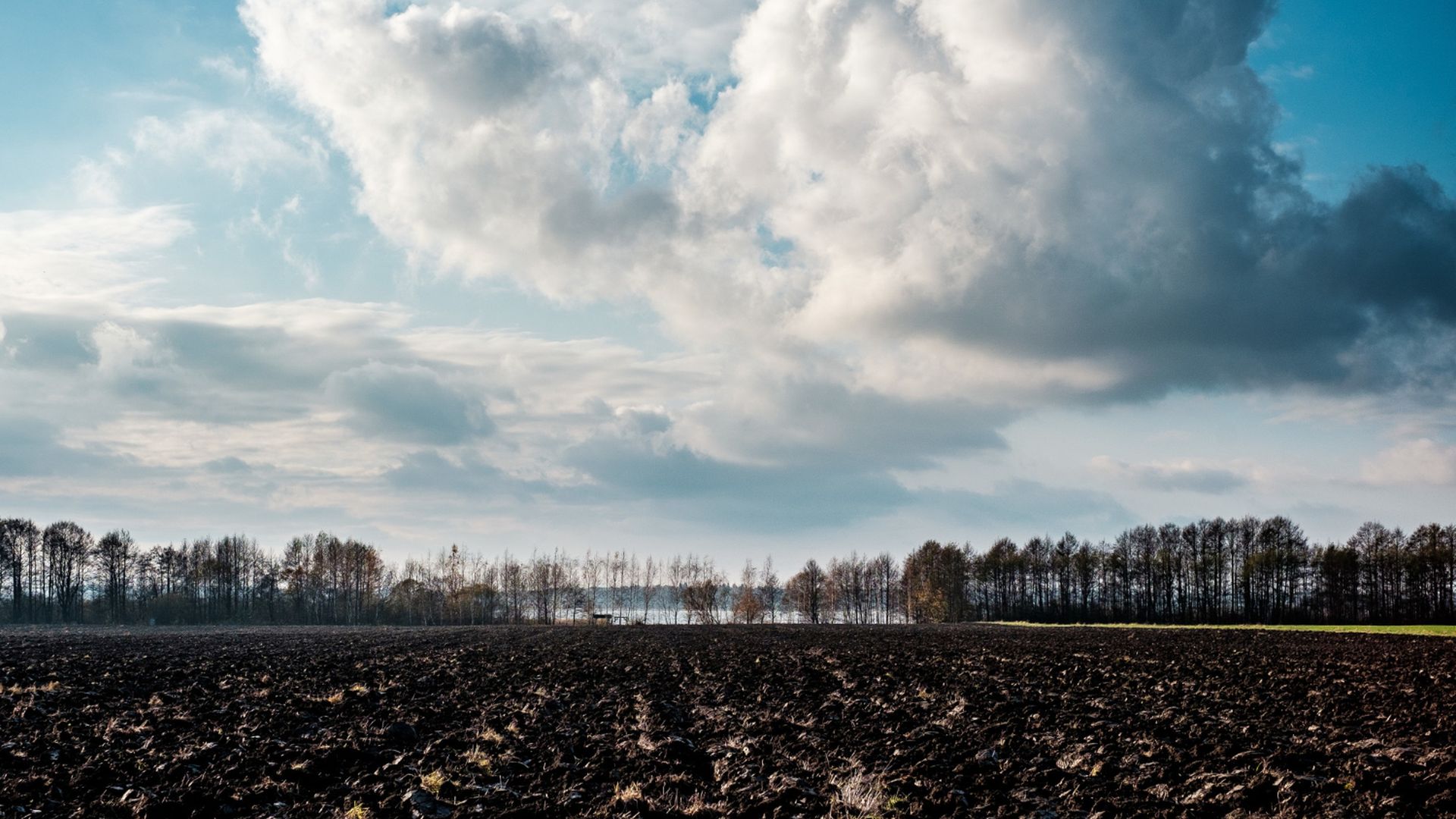 Recuperação de pastagens degradadas no Brasil avança com novas tecnologias, mas ainda enfrenta desafios de financiamento para ganhar escala.