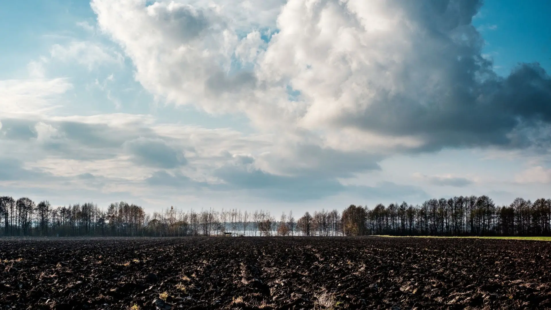 Recuperação de pastagens degradadas no Brasil avança com novas tecnologias, mas ainda enfrenta desafios de financiamento para ganhar escala.