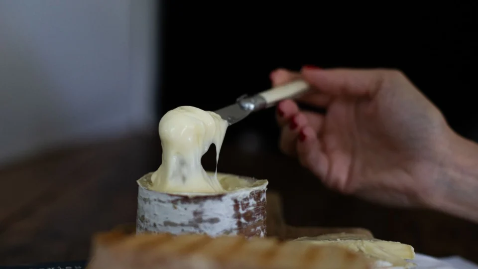 queijo especial Morro Azul produzido pelos Queijos Pomerode