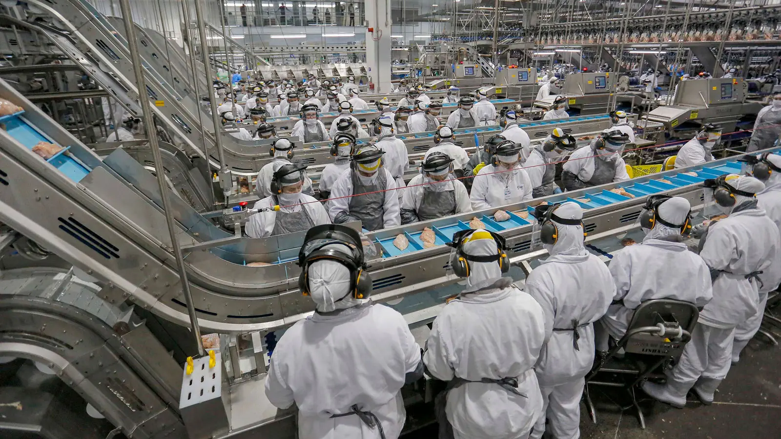 Décimo terceiro salário é pago aos trabalhadores em regime CLT.