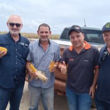 Imagem referente a matéria