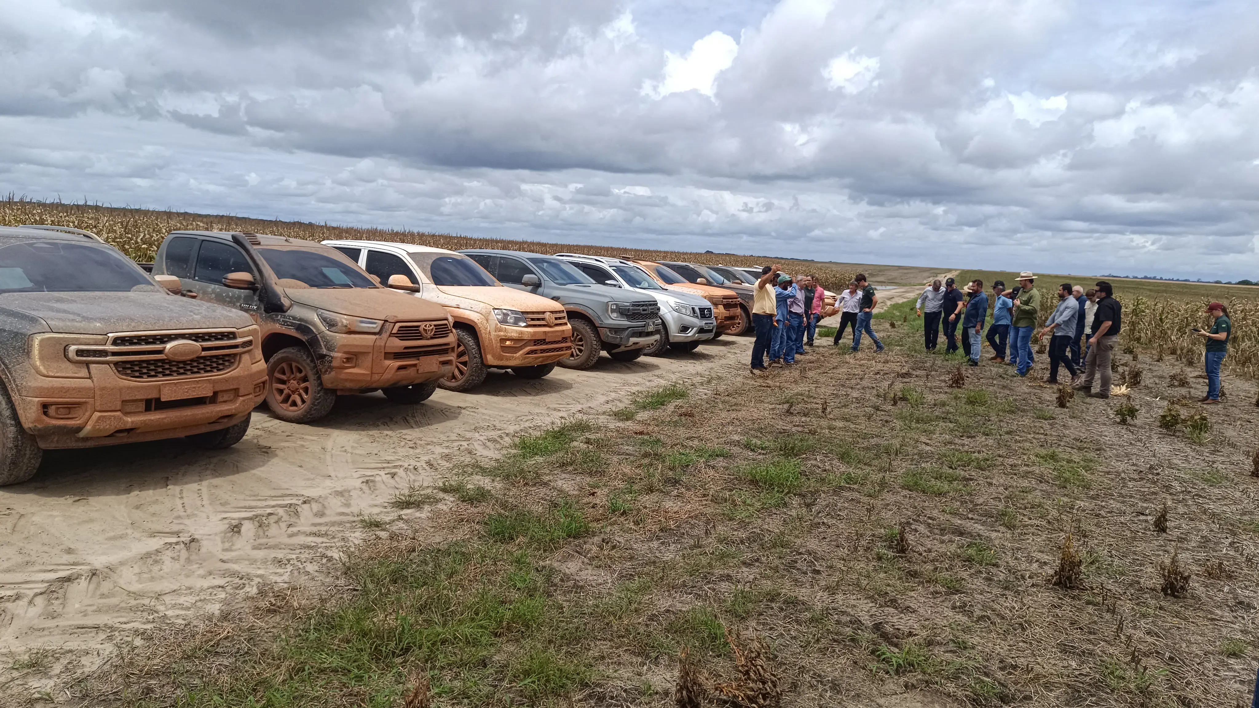 Solo da savana guianense é parecido com o do Cerrado do Centro-Oeste brasileiro e do Lavrado do Norte do país 