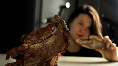 Imagem referente a matéria