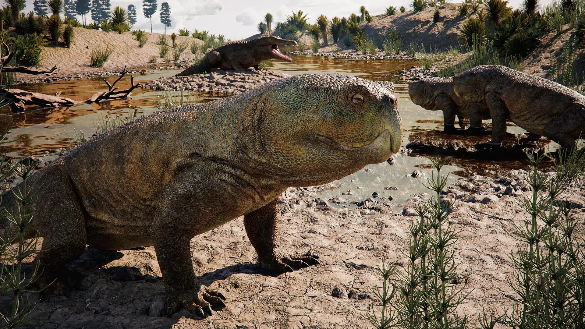 Isodapedon varzealis é um rincossauro, tipo de réptil quadrúpede e herbívoro do período Triássico.