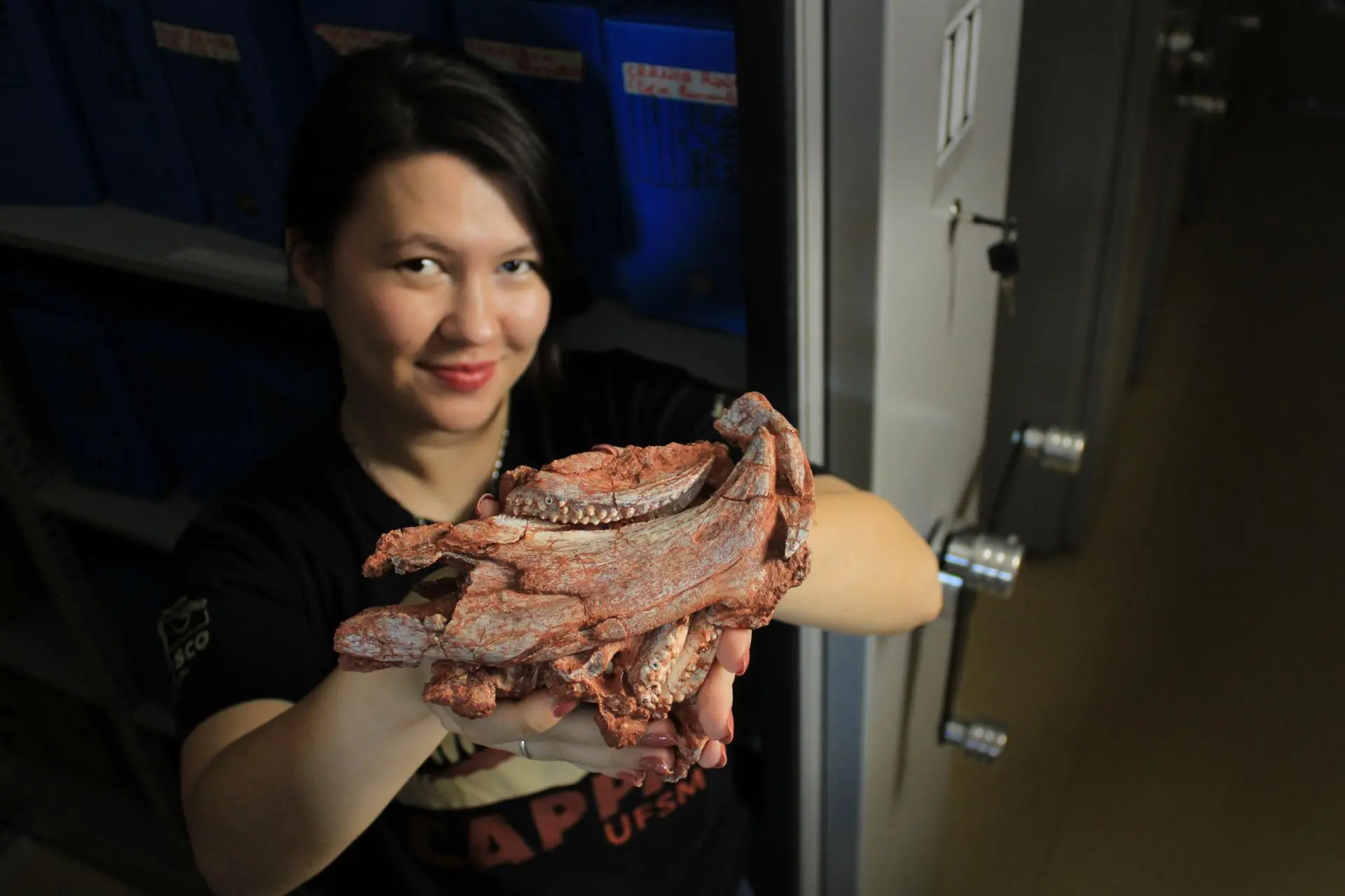 Crânio de Isodapedon varzealis mostra bico semelhante ao de papagaio e indica dieta herbívora do réptil pré-histórico.