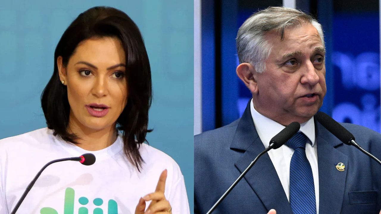 Senador diz que tenta convencer partido da necessidade de uma candidatura própria.