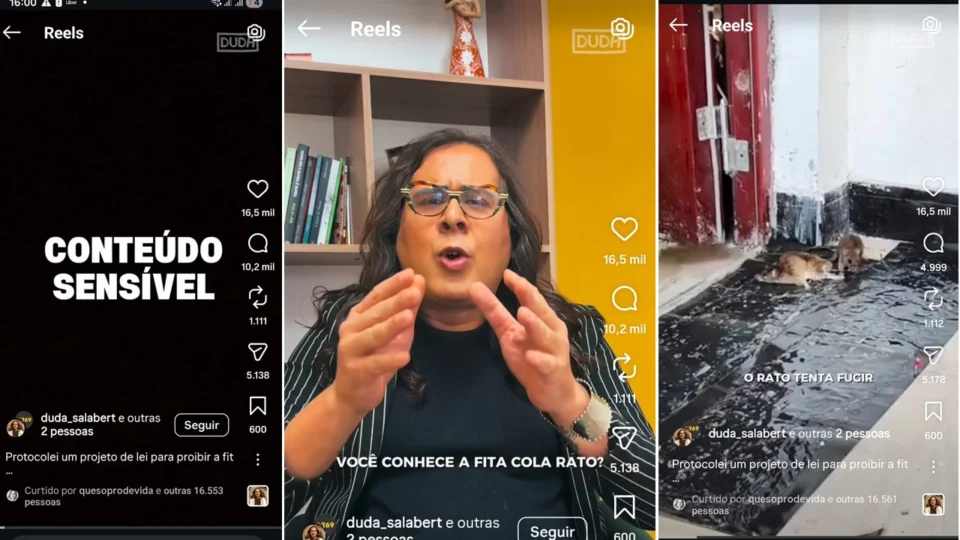 A deputada federal Duda Salabert (PSOL-MG) protocolou um projeto de lei para proibir a venda de fitas que colam ratos.