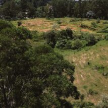 Imagem referente a matéria