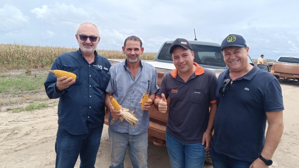 Por que a Guiana está oferecendo terras de graça para brasileiros?