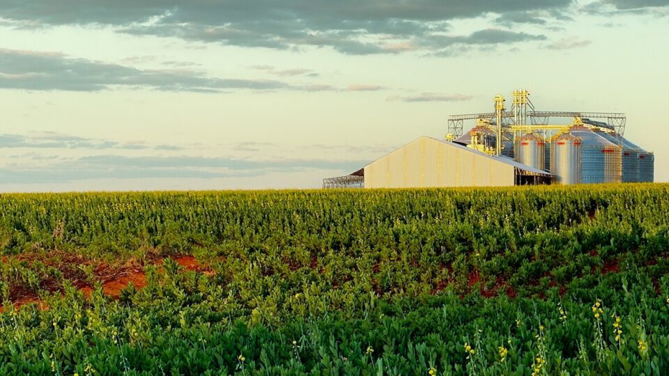 STF valida restrição a compra de terras por empresas com capital estrangeiro