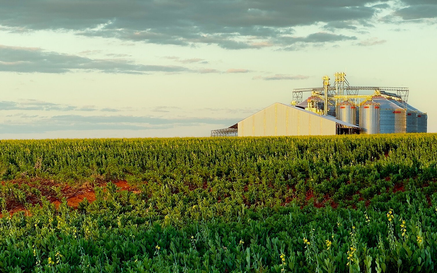 Entidade apontou violação à livre concorrência e danos ao agronegócio na diferenciação entre empresas.