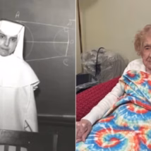 Imagem referente a matéria