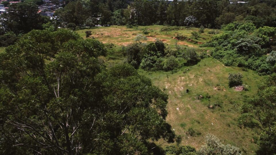 Quem é frei Gilson e como será o seu novo centro religioso em São Paulo?