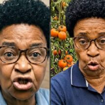 Imagem referente a matéria