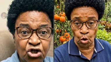 Imagem referente a matéria