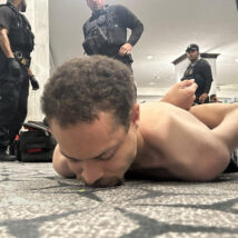 Imagem referente a matéria