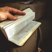 Imagem referente a matéria