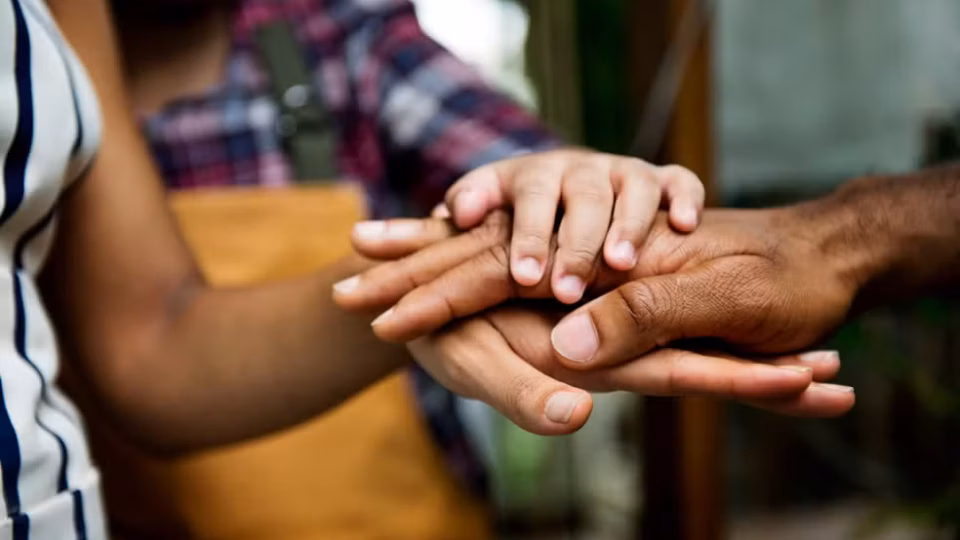 A força da rede: como a FEAPAES-PR desenvolve a inclusão no Paraná 