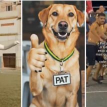 Postagens oficiais adotam a linguagem dos memes, do funk e outras referências da "estética da favela" para conseguir engajamento nas redes sociais