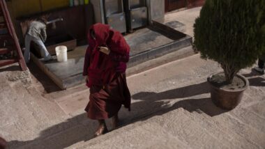 Imagem referente a matéria