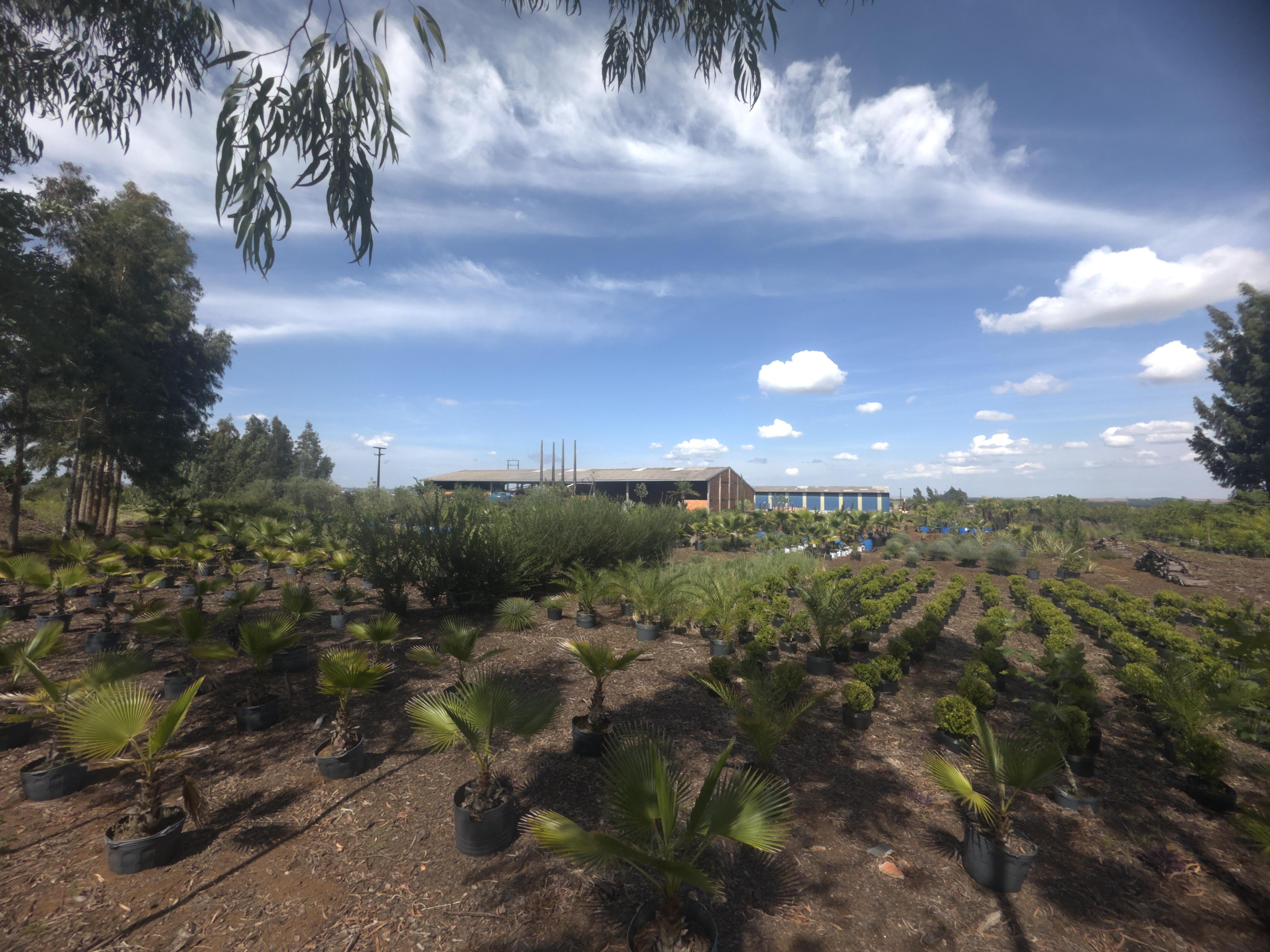 Smart City no Paraná valoriza 22% e transforma sustentabilidade em ativo bilionário