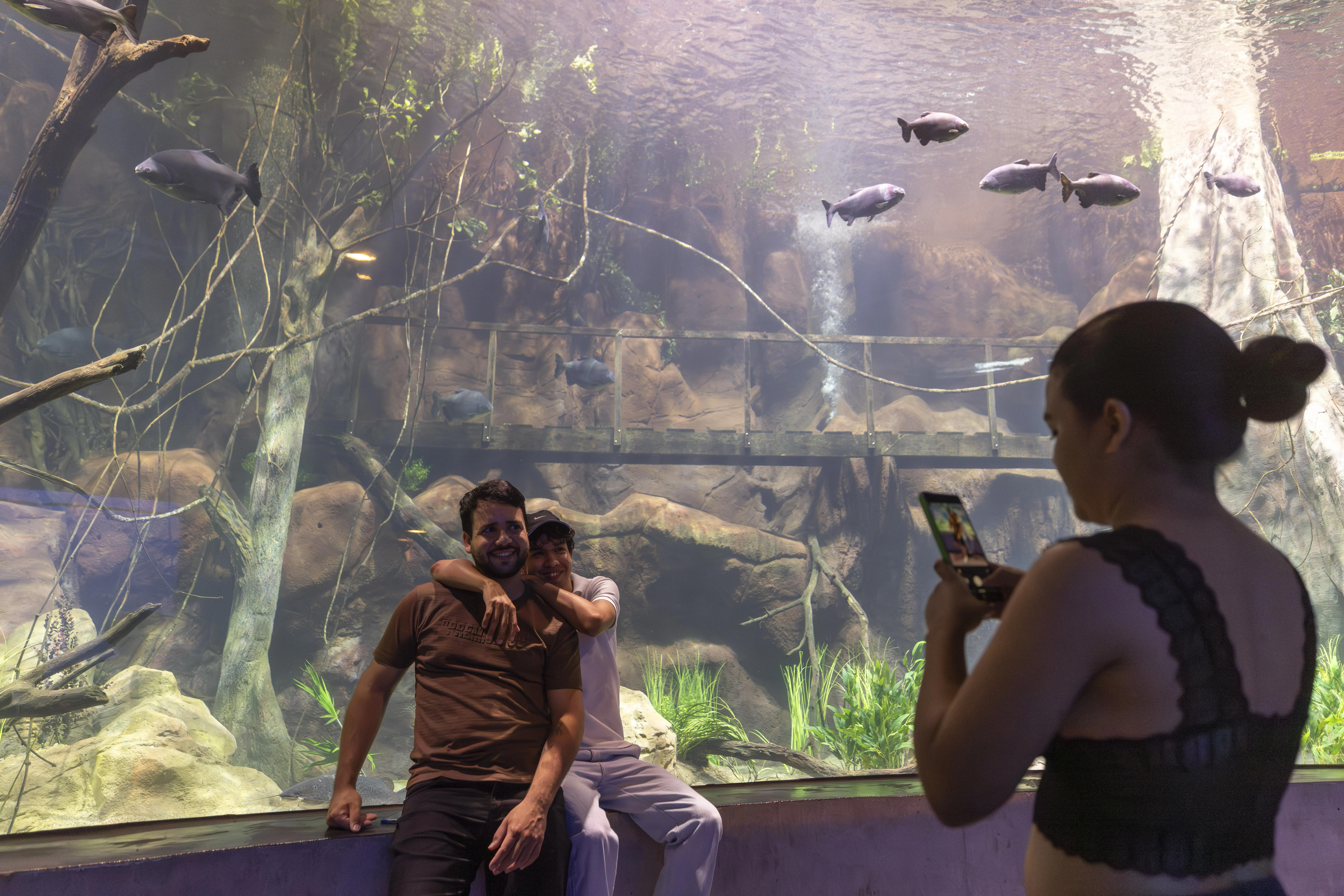 Visitantes registram o momento em tanque de água doce do AquaFoz, que reproduz ecossistemas dos rios Iguaçu e Paraná e integra o roteiro turístico de Foz do Iguaçu no feriado.