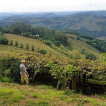 O segredo da cidade que reduziu o Bolsa Família em 40% Agricultor da zona rural de Bento Gonçalves. Município reduziu beneficiários do Bolsa Família com emprego