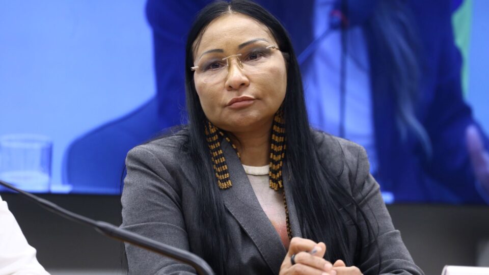 Por unanimidade, TSE mantém cassação de Silvia Waiãpi