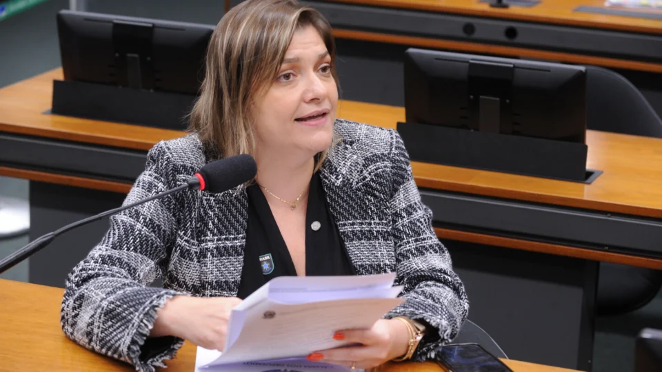 Luciene Cavalcante argumenta que derrubada do veto fere convenção sobre direitos humanos.