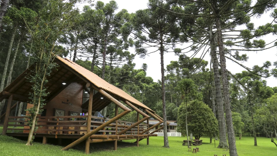 Mata do Uru, área preservada pelo Grupo Positivo, reúne biodiversidade e ações de conscientização ambiental