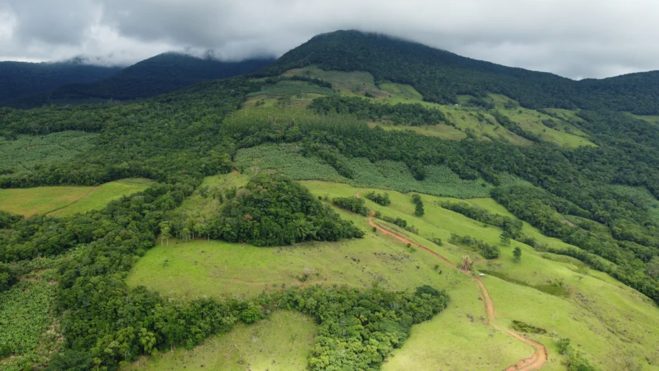 Caminho histórico na Serra do Fundo Grande ressurge entre cânions e Mata Atlântica e projeta novo destino de ecoturismo entre SC e RS.