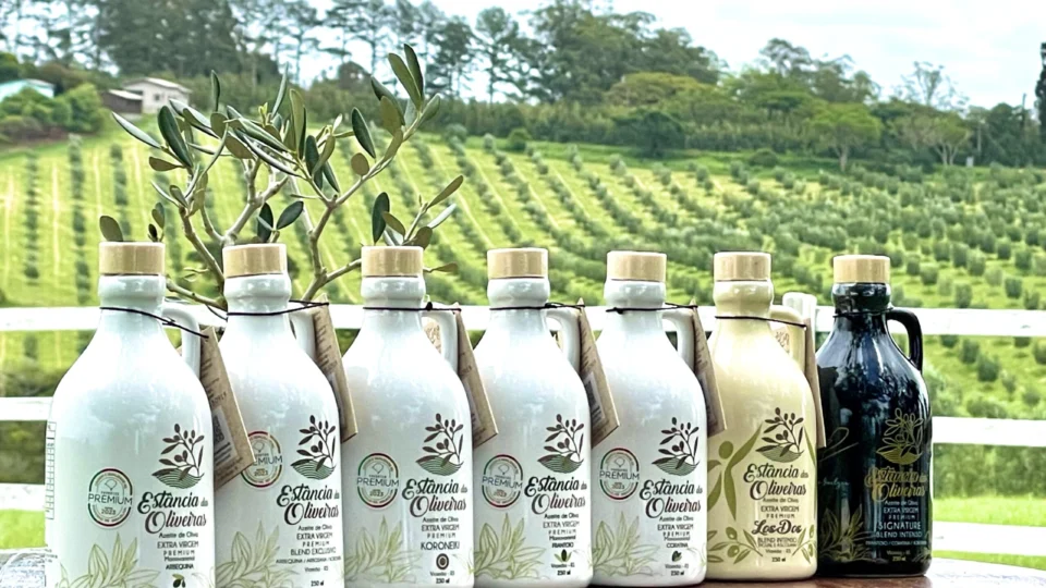 Azeite de Viamão (RS) conquistou nota máxima em Genebra e já exporta para o mercado de luxo japonês.