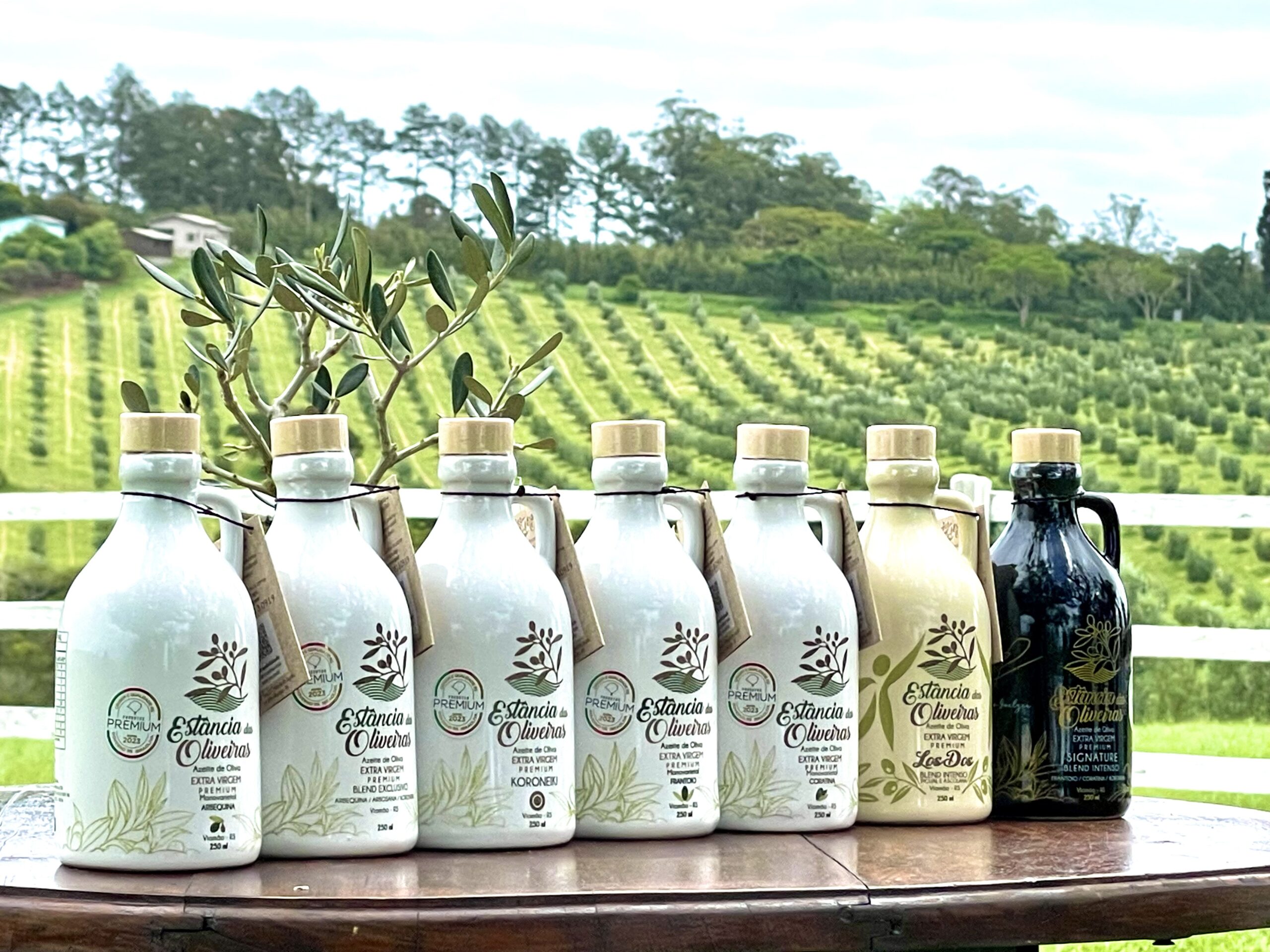 Rótulos da Estância das Oliveiras, produzidos em Viamão (RS): fazenda acumula mais de 250 prêmios internacionais.