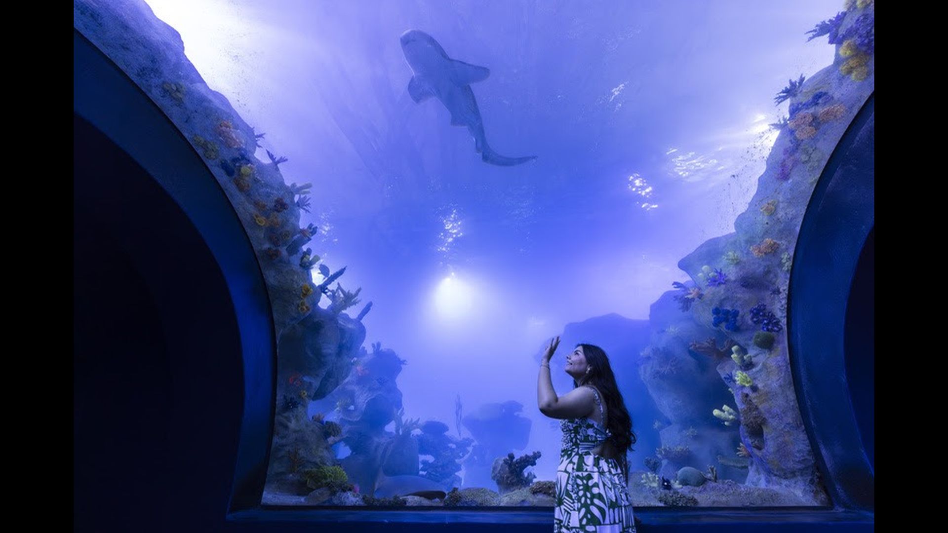 Visitante observa tubarão em tanque oceânico do AquaFoz, atração que integra a programação especial de Dia das Mães com experiência imersiva e lazer para toda a família.