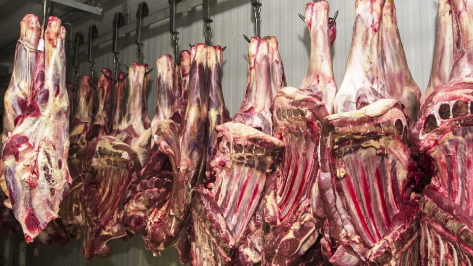 União Europeia veda importação de carne brasileira