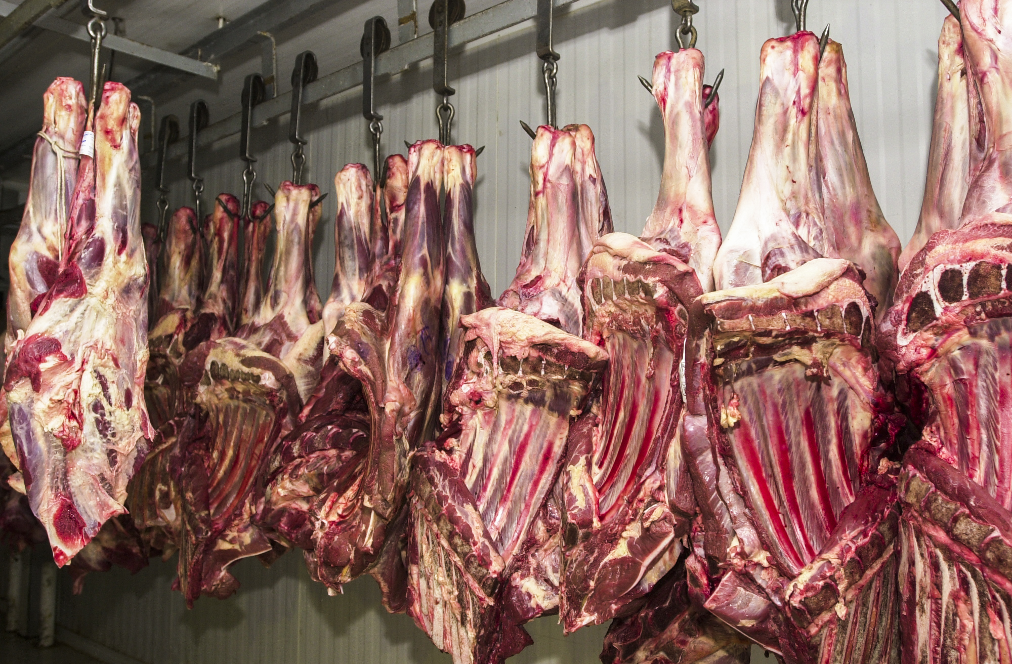 União Europeia veda importação de carne brasileira