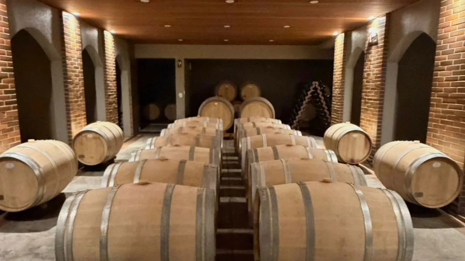 Barricas, tempo e tradição: é entre o carvalho francês e americano que nascem os aromas e a complexidade dos rótulos premiados da Vinícola Franco Italiano, destaque internacional do vinho paranaense.
