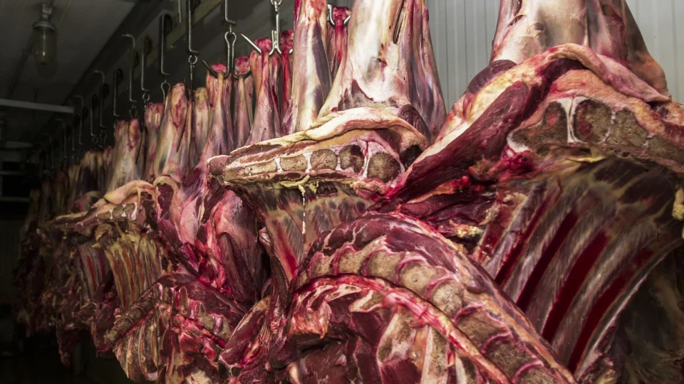 carne brasileira europa
