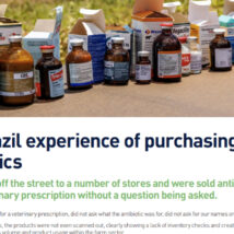 Trecho do “Relatório sobre a Investigação no Brasil” relata suposta compra de antibióticos sem receita no país. Pressão irlandesa levou ao bloqueio das exportações de carne brasileira à UE. Imagem referente a matéria