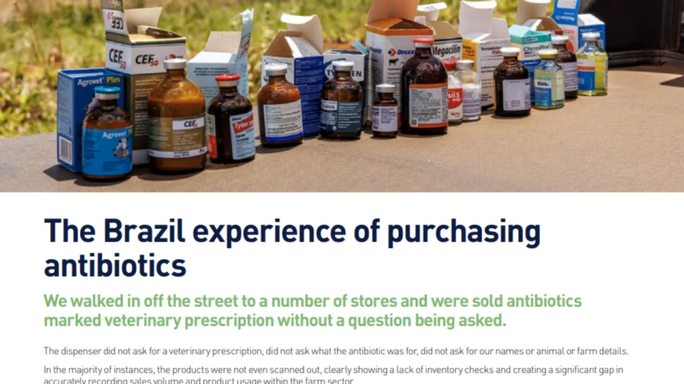 Trecho do "Relatório sobre a Investigação no Brasil" relata suposta compra de antibióticos sem receita no país. Pressão irlandesa levou ao bloqueio das exportações de carne brasileira à UE.