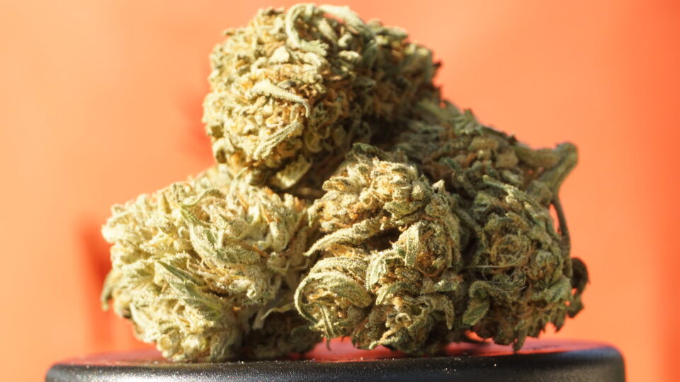 Anvisa retira tarja preta e libera exportação de cannabis medicinal